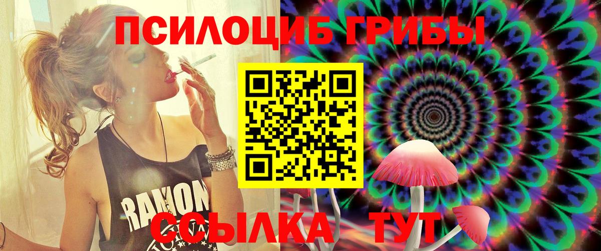 Тихвин  Псилоцибиновые грибы мухоморы  Вход с VPN 